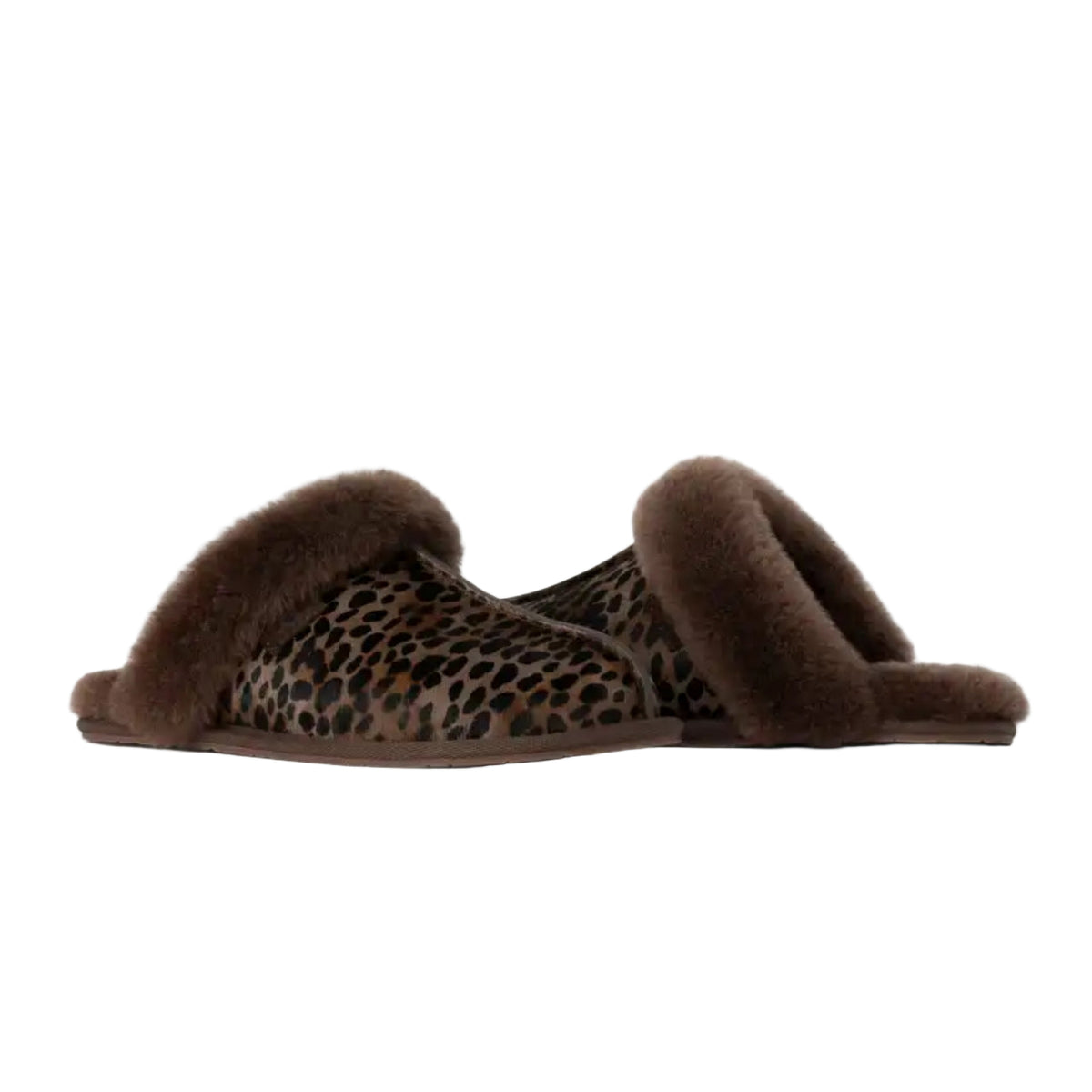 UGG Scuffette ll Caspian