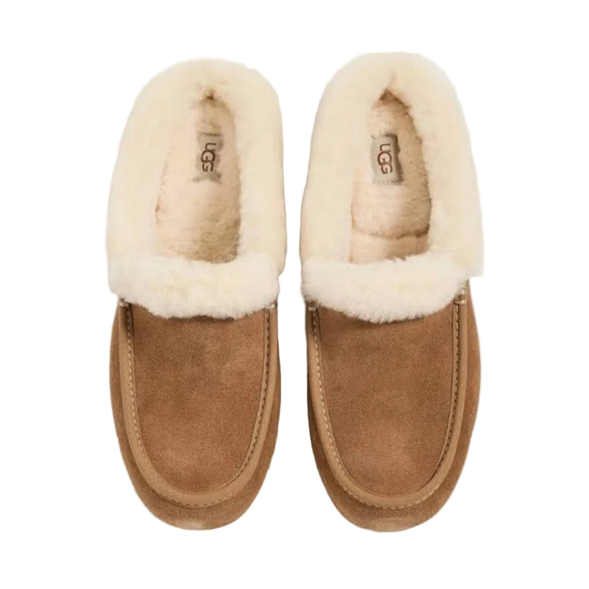 UGG Ansley Mule