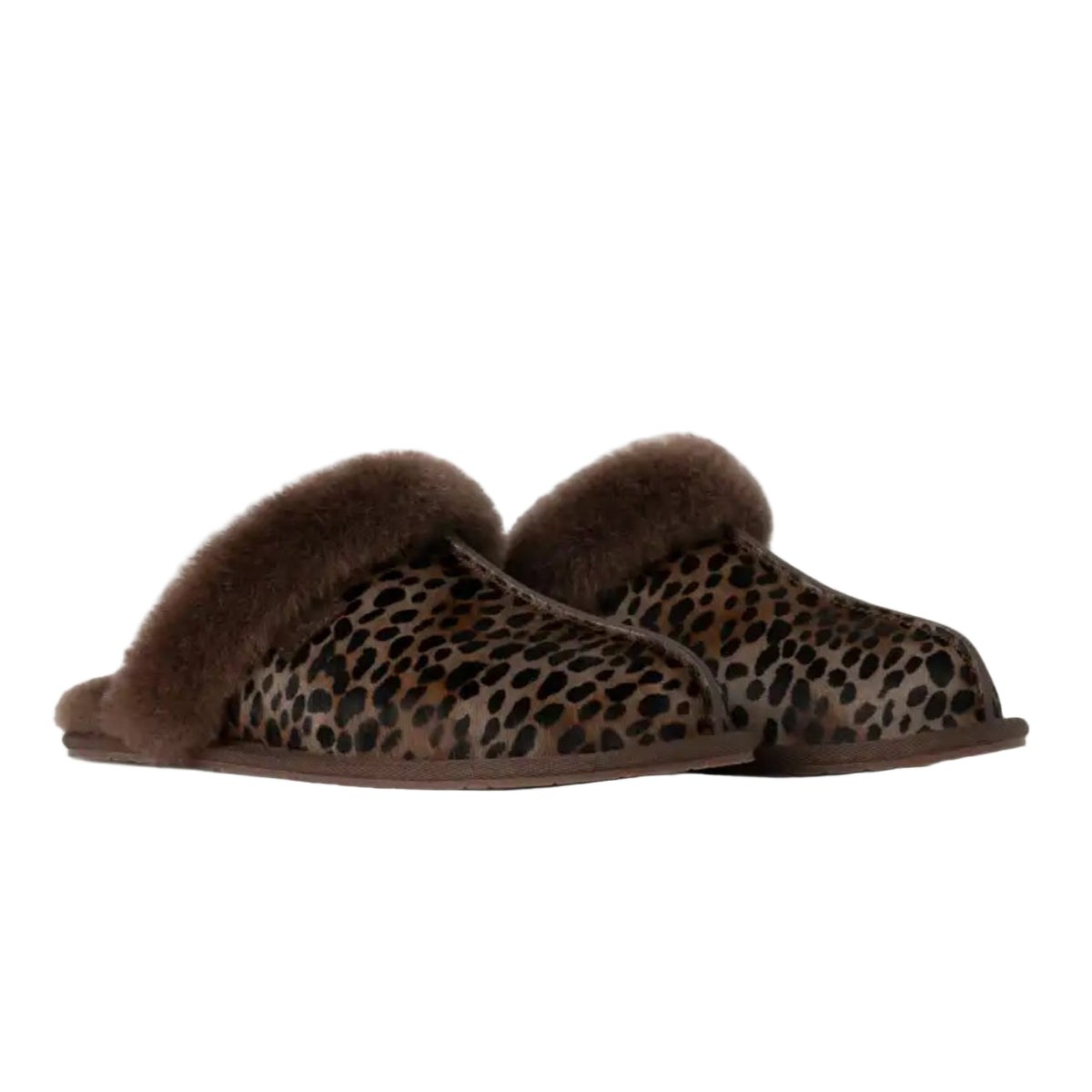 UGG Scuffette ll Caspian