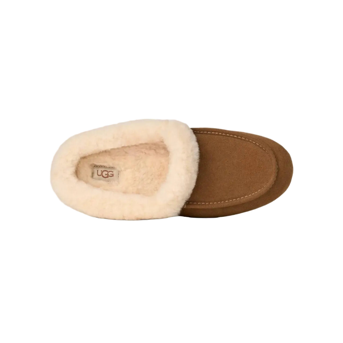 UGG Ansley Mule