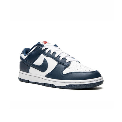 Nike dunk low valerian Blue